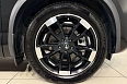 GS8 GX Traveller 2.0 AT 4WD (231 л.с.) фото 23